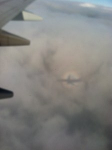 Glory encircling airplane