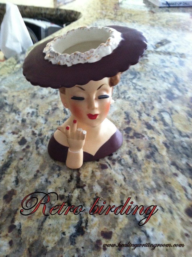 retro birder
