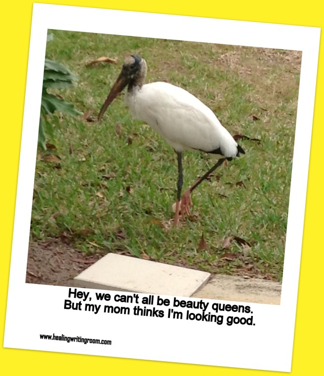 woodstork 3