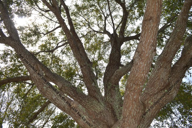 (c) Healing Writing Room 2015