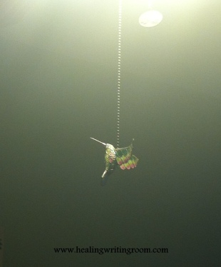 hummingbird light