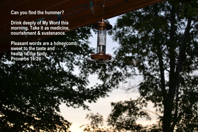 Can you see me? (c) Healingwritingroom.com