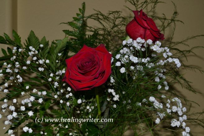 Sectarian Roses The Cherishing Ministry of Jesus – Kathryne Leach