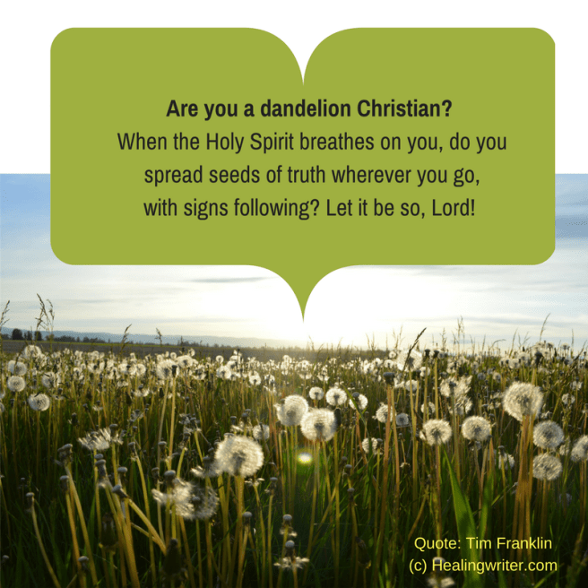 Dandelion Christian 033117