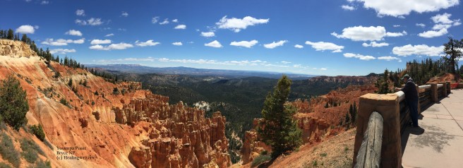 Yovimpa Pt Day Bryce