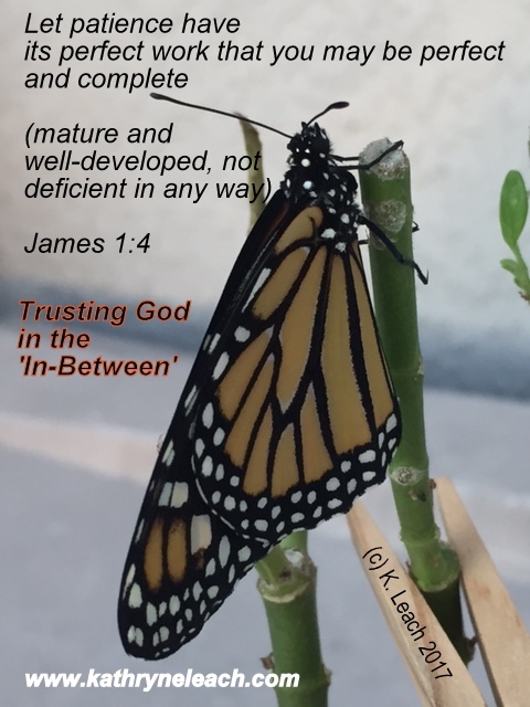 Change blog headline meme