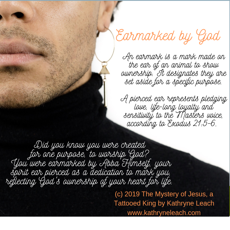 Earmarked by God Book meme