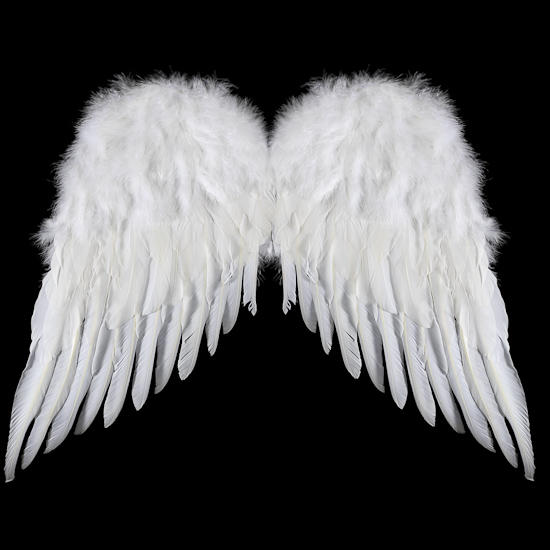 white wings