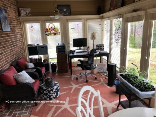 Sunroom office 2020